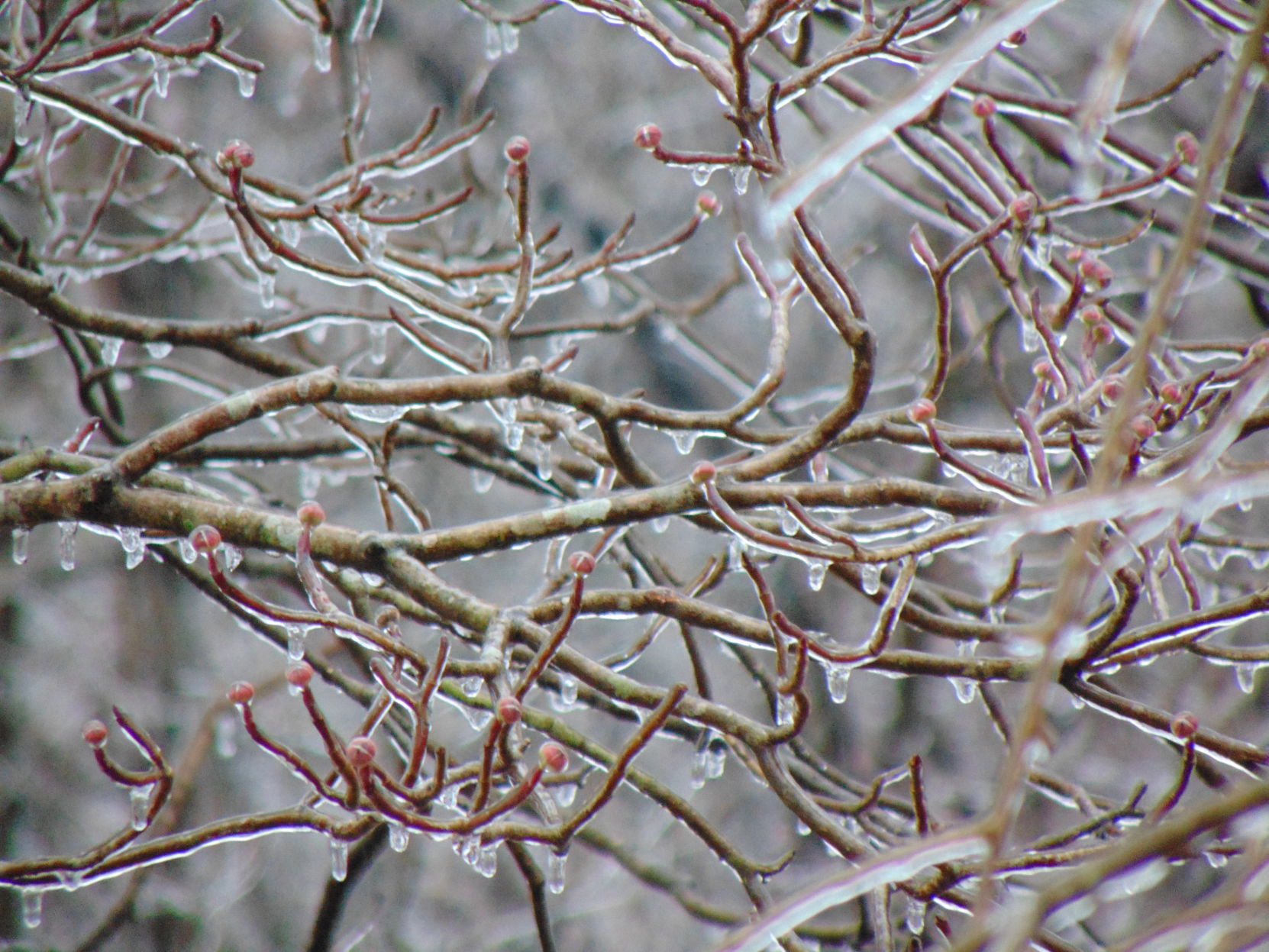 Snow in Iredell County